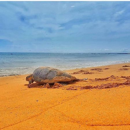 Pousada Costa Dourada Baia Formosa  Luaran gambar
