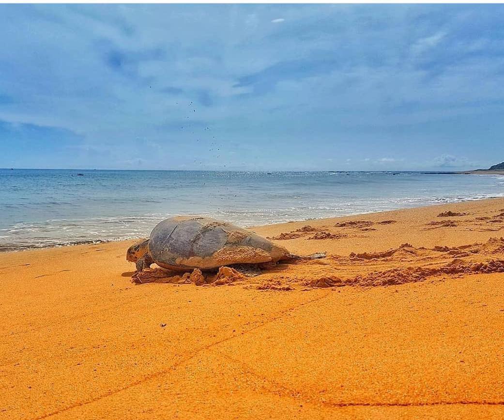 Pousada Costa Dourada Baia Formosa  Luaran gambar